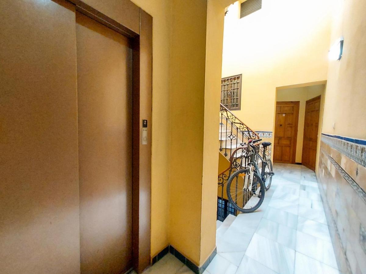 Apartamento Alameda Calatrava Sevilla Exteriör bild